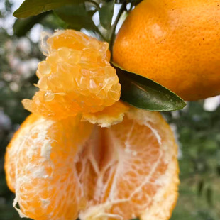 ������ľ�������l ���θ̘��� ��Ҋ������ ��Ҋ���θ̽��Ә���