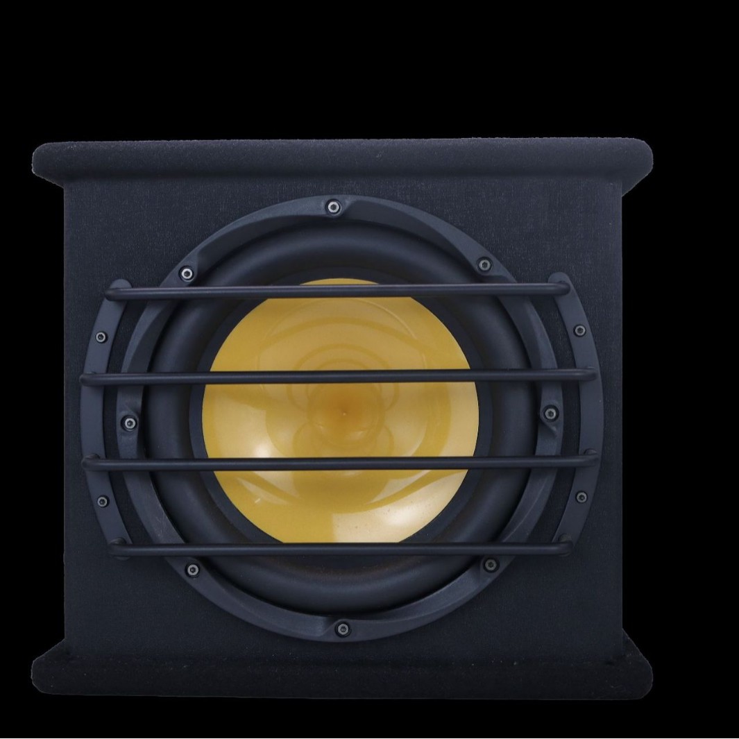 Qìchē – Car Audio Car speaker/subwoofer - 12-inch