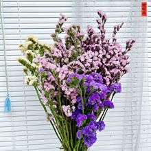永生花勿忘我云南厂家批发勿忘我永生花干花花束客厅家居婚礼装饰