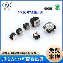 6*6p|_P_ĥaaƷb˰o΢_P