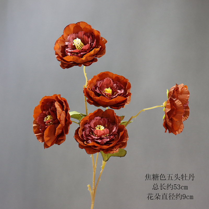 카라멜색 모란 5개와 가지 1개