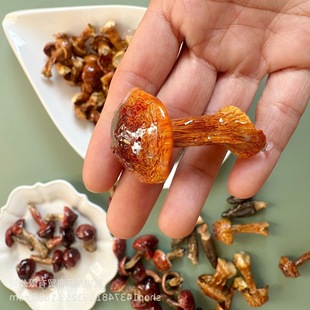 ��Ģ�����z�����Ұ������Ģ�����z��������Ģ�������N���������N