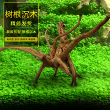 �~�׳�ľ���l���N���쾰ľ�ݸ��b���Ȼ�������xˮ��������С���