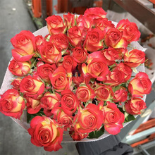 橙色芭比多头玫瑰鲜花花束云南昆明基地直发同城速递香水百合插花