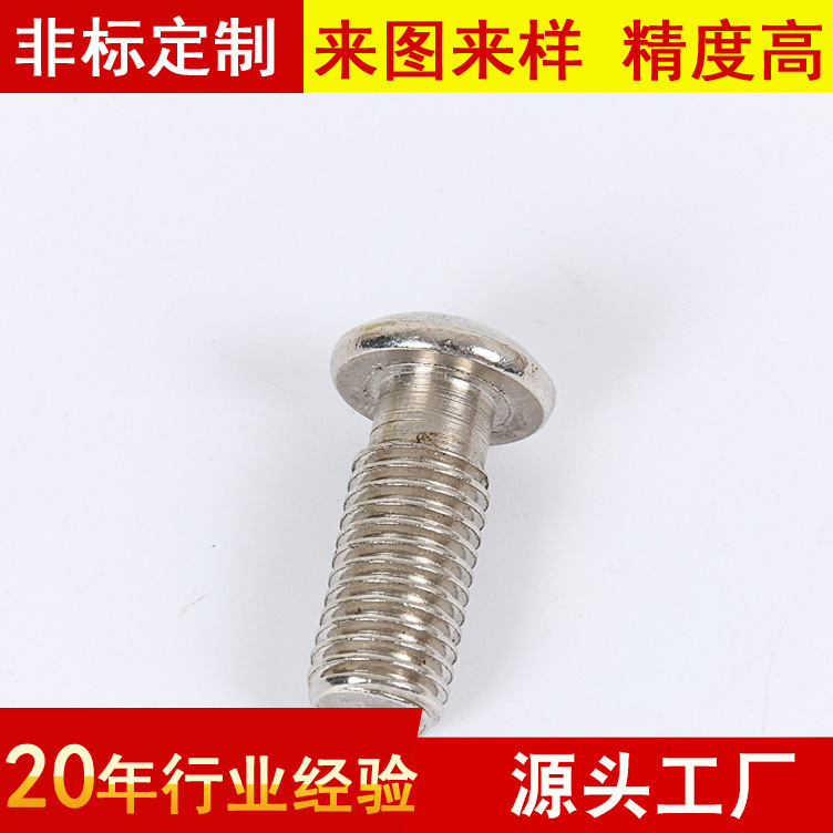 不锈钢钉 不锈钢自攻螺丝钉 十字盘头螺钉 厂家定 制批发