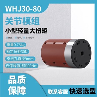 Whj-30 Servo Motor Integrated Machine Robot Joint Module Mechanical Arm Joint Module