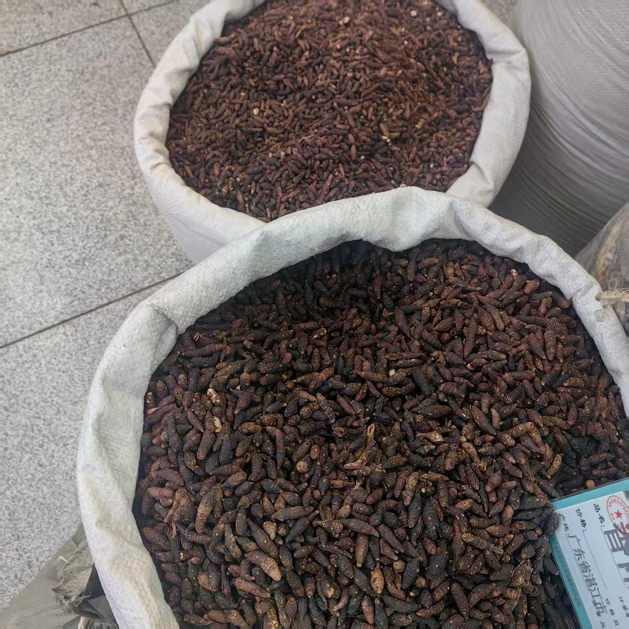 Xiang Fu Cyperus Rhizome Powder 500g Guangxi Dried Herb for Culinary and Traditional Use quality and texture