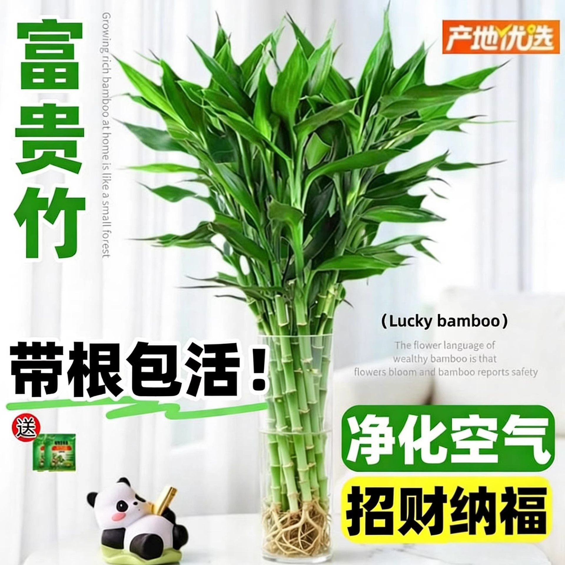 �������F��ˮ��ֲ��͏d�����b��ܾGֲ����ˮ�����^�����Ĳ���