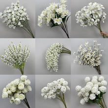 ��c���滨ˇ��ɫϵ����õ�廨���X�~��Y�������廨����bٻ�