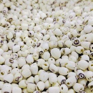 ����r����ɏ��ȥоĥƤɏ����500g�o���B���������l��؛ș��