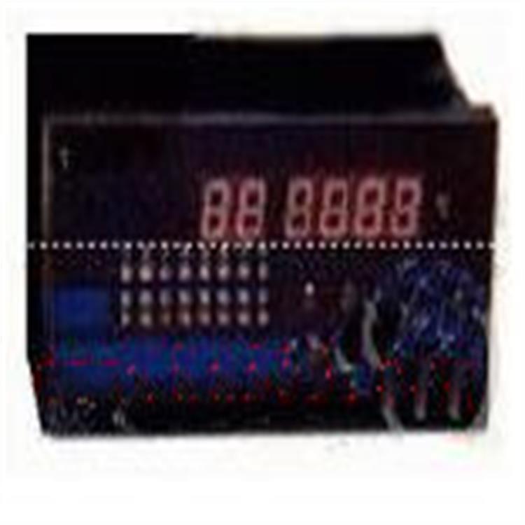 电机温度智能巡检控制仪 型号NA51/DWK-16库号M393262