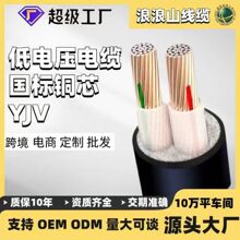国标电线电缆纯铜ZR-YJV2芯10～300平无氧铜户外架空电力电缆线厂