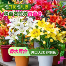 �M����ˮ�ٺϷN��ѿ�ͺ������̨���Ի����ļ�ѭ�h�_������