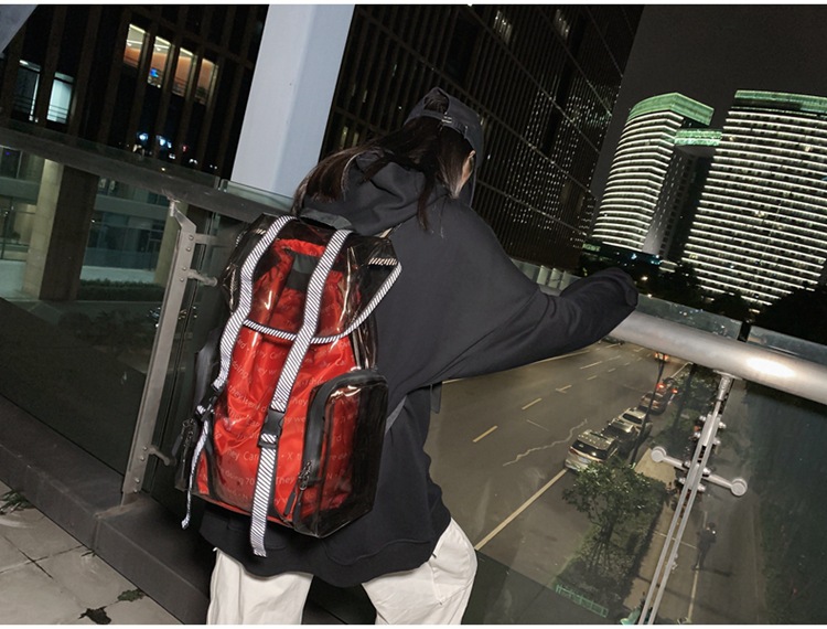 Transparent Backpack Large-capacity Backpack Reflective Three-dimensional School Bag display picture 60