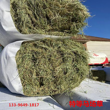 现货供应马草羊草牛草草捆牧草干草料马场 动物园