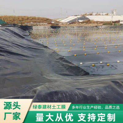 黑色hdpe土工膜垃圾填埋场专用鱼塘养殖藕池池塘猪场防水板土工膜