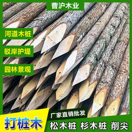 批发河道打桩木松木桩围堰护坡杉木桩水利工程小头10cm原木可削尖