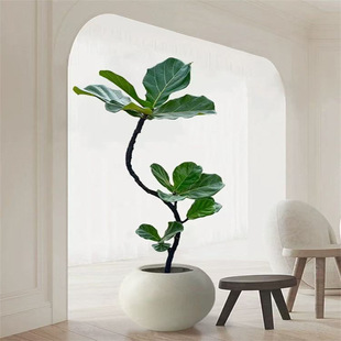 �������~�������҃ȿ͏d�Gֲ�����՚���B�^�~ֲ���k����ͥԺ�̨