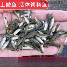 ���N�~С�~������~�����~���~ι�Z�~����ι�������|�~���Z