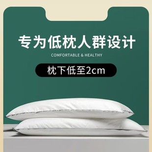 Pillow Core 100% Cotton Type a Family Hotel Pillow Home Kidsren Students Adult Super Soft Pillow Pillow Core Wholesale Delivery