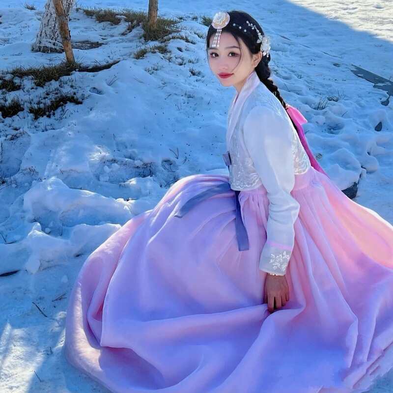 Hanbok Yanji Daily Performance Clothing Korean Traditional Dress for Women, Improved Performance Outfit, Popular Travel Photography Attire, Super Fairy-Like