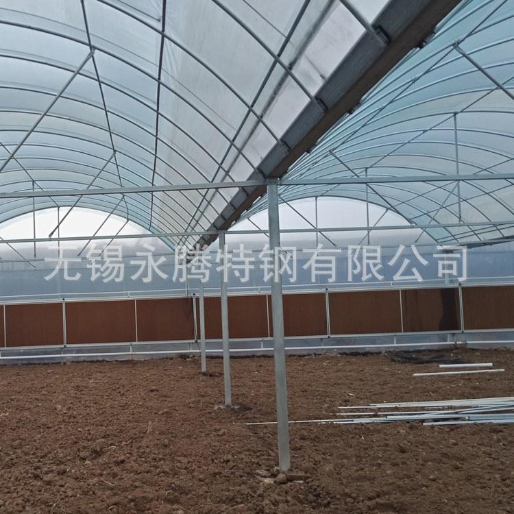 武汉现货供应连体温室大棚 连栋大棚 连体葡萄大棚 简易蔬菜大棚