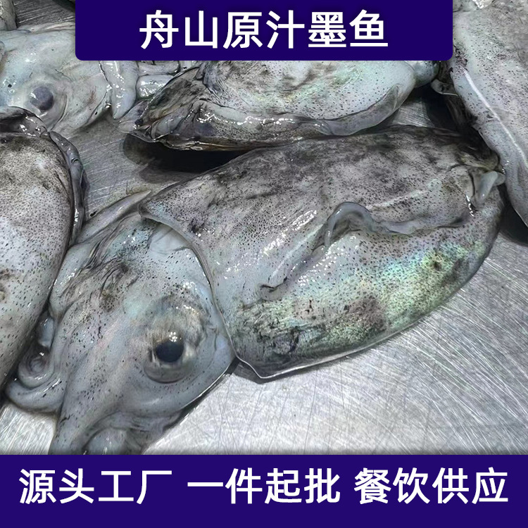 舟山东海野生流网原汁大墨鱼目鱼乌贼液氮冷冻水产真空单只包装箱
