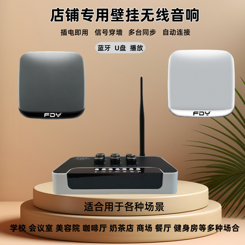 Store-Specific Bluetooth Speakers with Multi-Unit Synchronization, Wireless Wall-Mounted Speakers for Restaurants and Conference Rooms, Multi-Unit Synchronization Store-Specific Bluetooth Speakers with Multi-Unit Synchronization, Wireless Wall-Mounted Speakers for Restaurants and Conference Rooms, Multi-Unit Synchronization