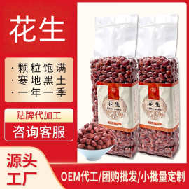 定制红皮花生米无壳新东北多粒型五谷杂粮花生仁红皮新鲜原味代发