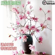 ˮֲmmrrл֦҃ȺBGֲԻ