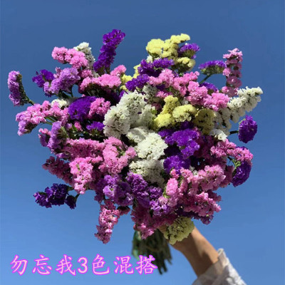 【勿忘我花束混搭 EMS空運爲主】雲南鮮花幹花客廳裝飾送禮代發