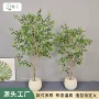 落地仿真大型客厅榕树