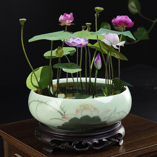 �����G��ɏ����ˮ�໨���մɴ�ڏ��o�׼����̨�~�X��ˮ������