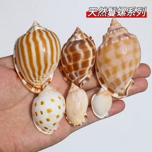 ��������Ȼؐ�������~��ˮ���쾰��ؐ�~�ľ�з��ֳ�����������N��