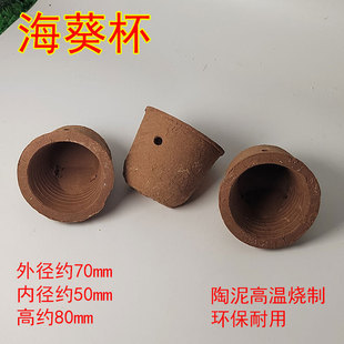 �����ݺ����C���������̺�̶��������쾰���ʯɺ����������