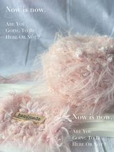 ���l��ݮ���� �Lë���ֻ쾀 ��ɫ�� ����hᘾ���ë�� 80g