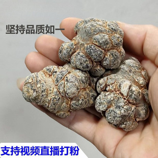 ��ɽ���� ������� ˮϴ��� 8~80�^ ����Ϟ ��Ѭ����]