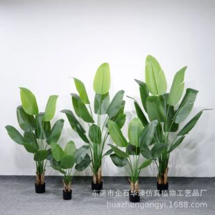 ߶˷˽҃b쾰Gֲ˽٘l