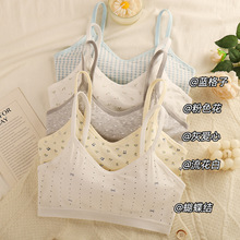 С���W���l�����\�Ӄ��µ������ķ���͸��̶�һ�w���o��������