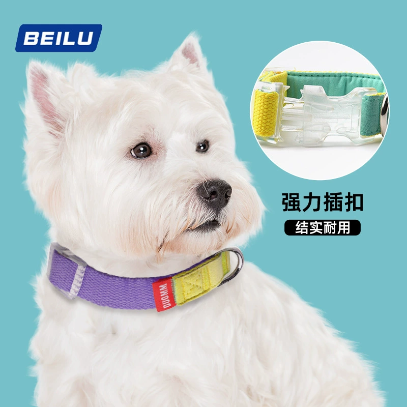 Новый трансграничный источник износостойких собачьих ошейников