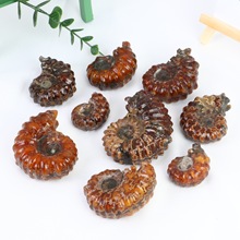 �S�ҹ����������Ȼ�߲��ݹ����ﻯʯ�lؔ�D�\�ݔ[����������ă�