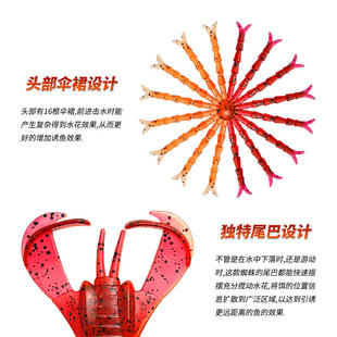 ����֩��Spider·���D���_�������D�����Z�~�|�~�D�ڿ�·��ܛ�D