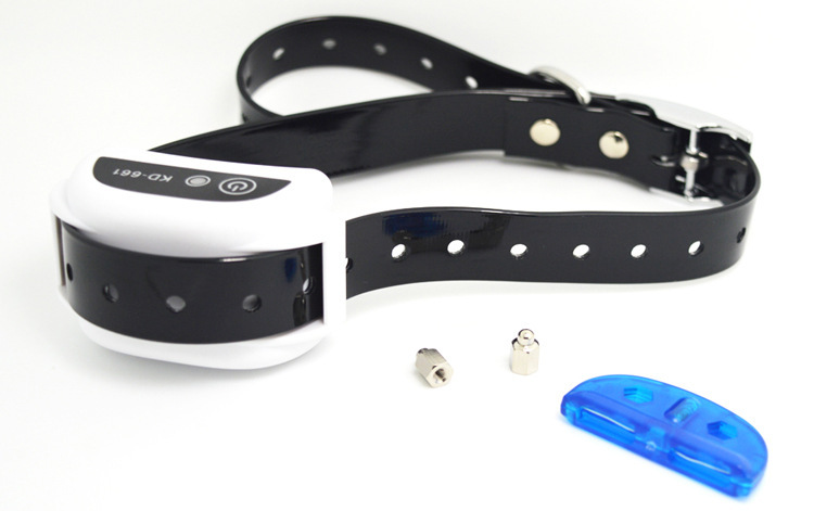 3718582719_273783380