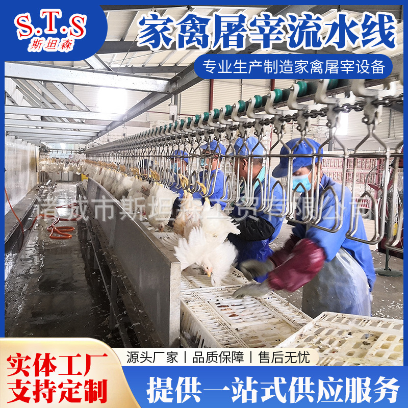 肉鸭麻鸭樱桃谷鸭屠宰流水线报价 自动杀鸭设备 鸭宰杀烫毛脱毛机