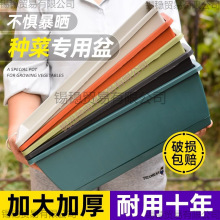 �Ӻ��߲�ݮ�ش�̖�����̨�N���������Լ�ͥ�L���ηN���茣����