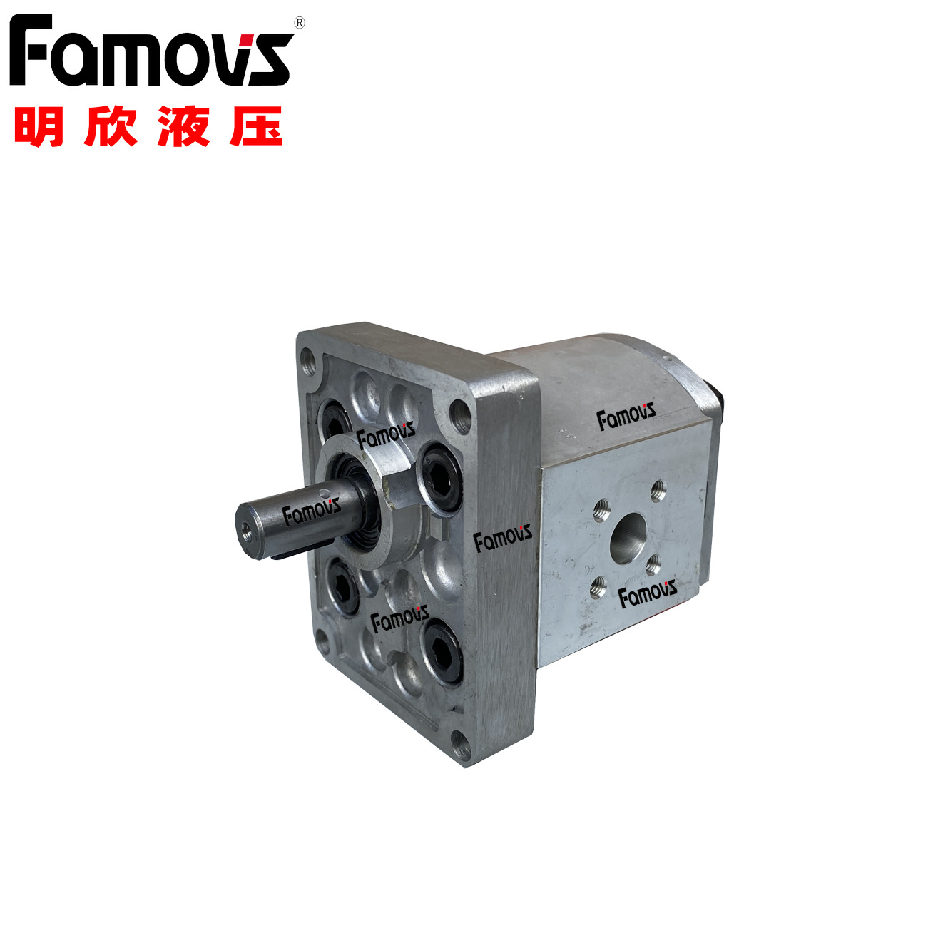 EGA-4.3-R台湾全懋 CML外齿轮泵 内齿轮泵 外齿合齿轮泵