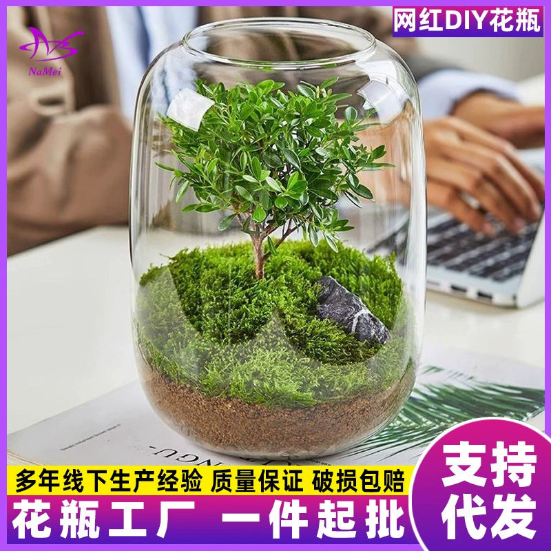 WeChat пейзаж DIY бутылка с растением стеклянная ваза украшение аквариум офисный рабочий стол гостиная популярные украшения оптом