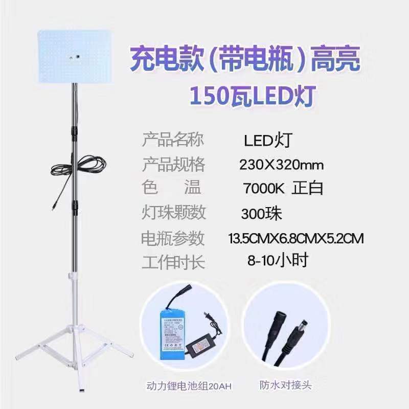 12v luz del mercado nocturno 48 v220 voltios batería carga led puesto luz súper brillante de baja tensión CC luz de emergencia exterior fábrica