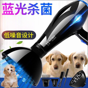Hair Dryer Small High Power Water Blower Dog Cat Golden Retriever Hair Blowing Pet Shop Beauty Machine