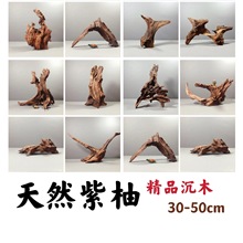 50cmԃֳľȻС̖ˮ~쾰bܞ̨